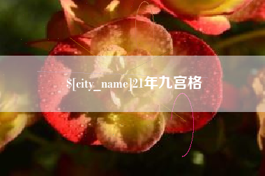 庆阳21年九宫格