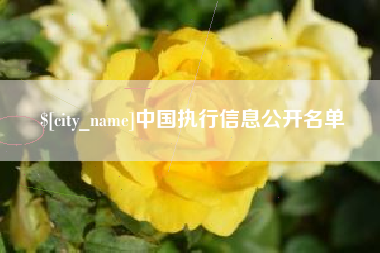 庆阳中国执行信息公开名单