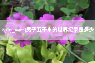 庆阳男子五千米的世界纪录是多少