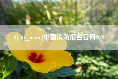 庆阳中国消防报名官网2020