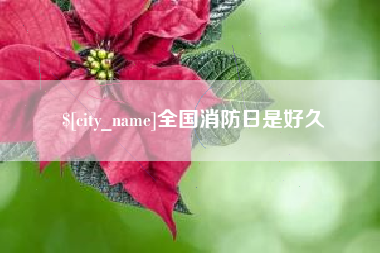 庆阳全国消防日是好久