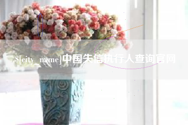 庆阳中国失信执行人查询官网