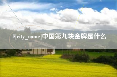 庆阳中国第九块金牌是什么