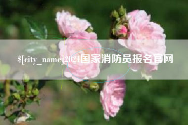 庆阳2021国家消防员报名官网