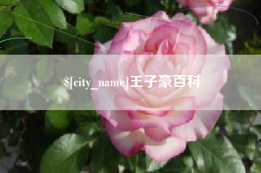 庆阳王子豪百科