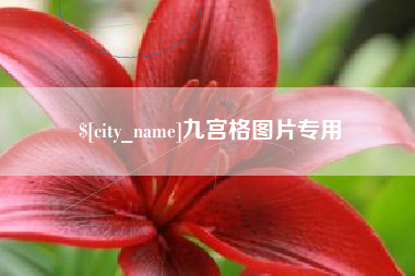 庆阳九宫格图片专用
