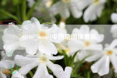 庆阳中国地图像素版