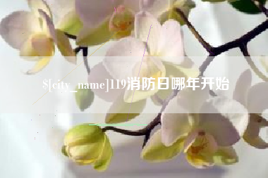 庆阳119消防日哪年开始