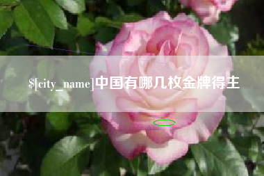 庆阳中国有哪几枚金牌得主