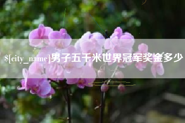庆阳男子五千米世界冠军奖金多少