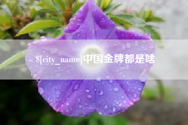庆阳中国金牌都是啥