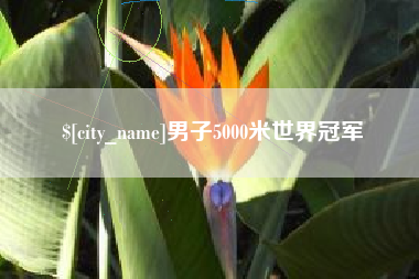 庆阳男子5000米世界冠军