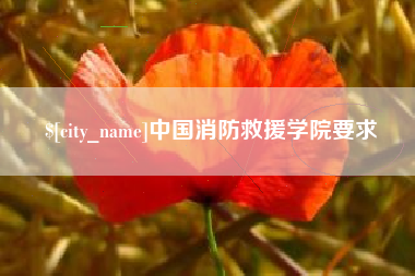 庆阳中国消防救援学院要求