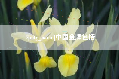 庆阳中国金牌包括
