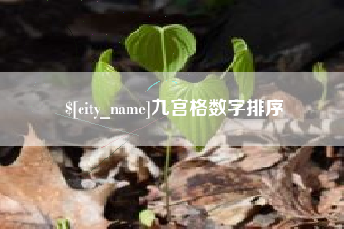 庆阳九宫格数字排序