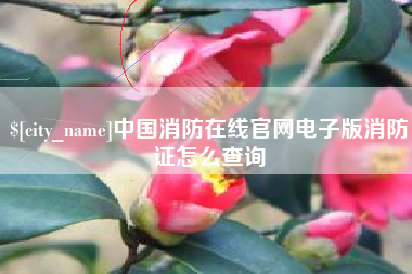 庆阳中国消防在线官网电子版消防证怎么查询