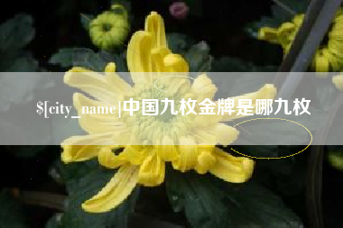庆阳中国九枚金牌是哪九枚