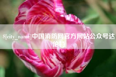 庆阳中国消防网官方网站公众号达伦特