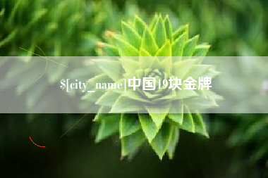 庆阳中国19块金牌