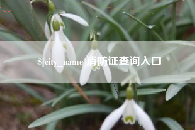庆阳消防证查询入口