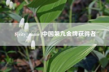 庆阳中国第九金牌获得者