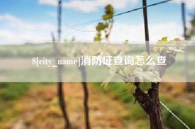 庆阳消防证查询怎么查