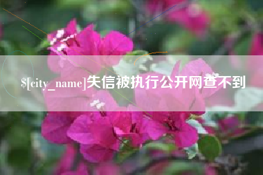 庆阳失信被执行公开网查不到