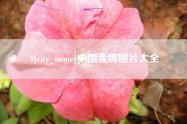 庆阳中国金牌图片大全