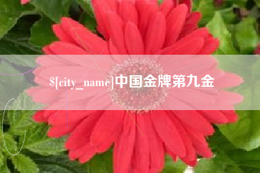 庆阳中国金牌第九金