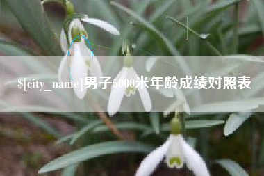 庆阳男子5000米年龄成绩对照表