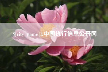 庆阳1.中国执行信息公开网