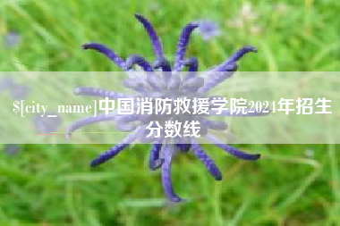 庆阳中国消防救援学院2024年招生分数线