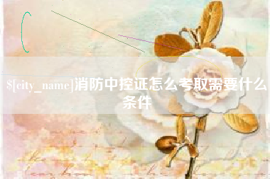 庆阳消防中控证怎么考取需要什么条件