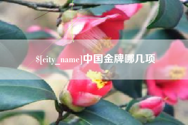 庆阳中国金牌哪几项