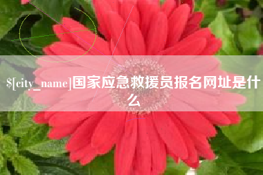 庆阳国家应急救援员报名网址是什么