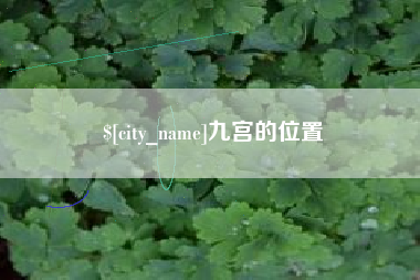 庆阳九宫的位置