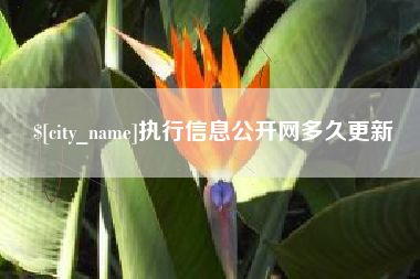 庆阳执行信息公开网多久更新