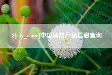 庆阳中国消防产品信息查询