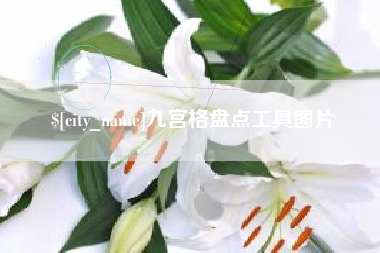 庆阳九宫格盘点工具图片