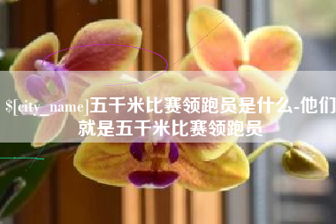 庆阳五千米比赛领跑员是什么-他们就是五千米比赛领跑员