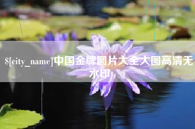 庆阳中国金牌图片大全大图高清无水印
