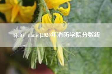 庆阳2020年消防学院分数线