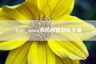 庆阳消防救援总队王星