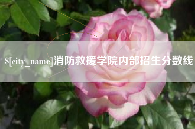 庆阳消防救援学院内部招生分数线
