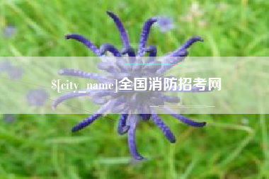 庆阳全国消防招考网