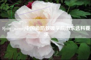 庆阳中国消防救援学院山东选科要求