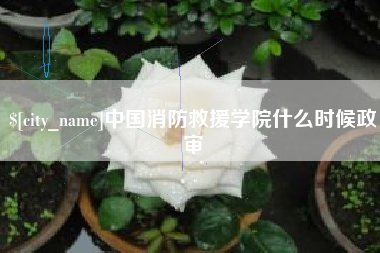 庆阳中国消防救援学院什么时候政审