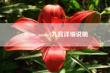庆阳九宫详细说明