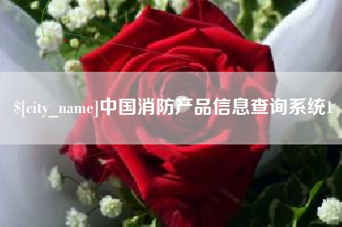 庆阳中国消防产品信息查询系统1