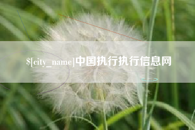 庆阳中国执行执行信息网